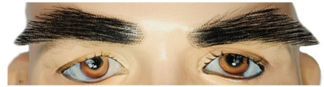 The Costume Center Medium Brown and Gray Eyebrow Human Hair Unisex Adult Halloween Makeup Costume Accessory